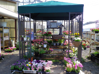岩手県北上市の造園・園芸・植木 ㈱京風園/園芸