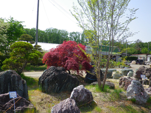 岩手県北上市の造園・園芸・植木 ㈱京風園/造園工事②